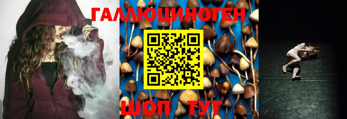 Галлюциногенные грибы Magic Shrooms  Вход с VPN  Псилоцибиновые грибы GOLDEN TEACHER  купить   Муром 